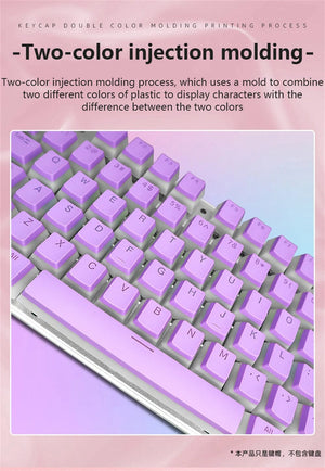 Planet Gates Special Keys 104 Keys PBT Pudding Keycap Two-color Injection OEM Profile DIY Keycaps for Gateron Cherry MX Switch Gaming Mechanical Keyboard