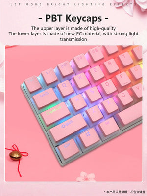 Planet Gates Special Keys 104 Keys PBT Pudding Keycap Two-color Injection OEM Profile DIY Keycaps for Gateron Cherry MX Switch Gaming Mechanical Keyboard