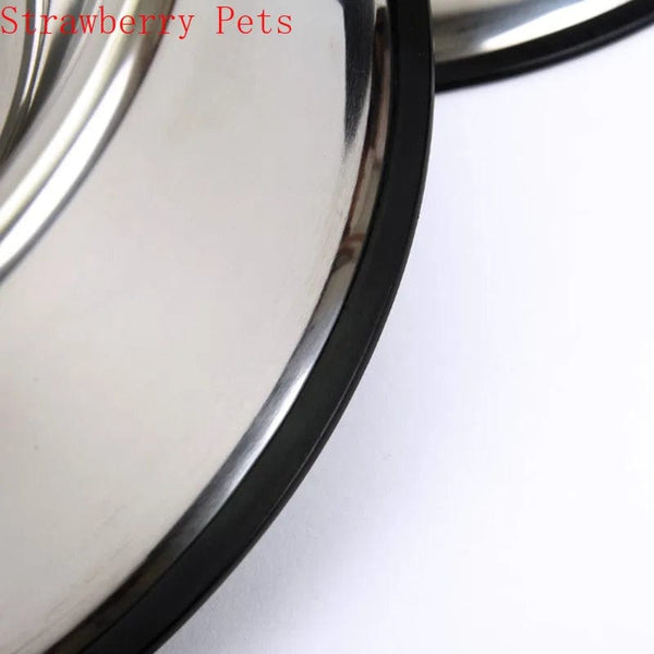 Planet Gates Stainless Steel Pet Dog Bowl Food Storage Container Dog Food Bowl Water Bottle Pet Bowl Feeder Dish for Small Large Dogs Cats