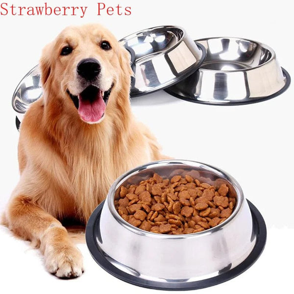 Planet Gates Stainless Steel Pet Dog Bowl Food Storage Container Dog Food Bowl Water Bottle Pet Bowl Feeder Dish for Small Large Dogs Cats