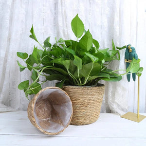 Planet Gates Straw Weaving Flower Plant Pot Basket Grass Planter Basket Indoor Outdoor Flower Pot Cover Plant Containers for Plantable Plants