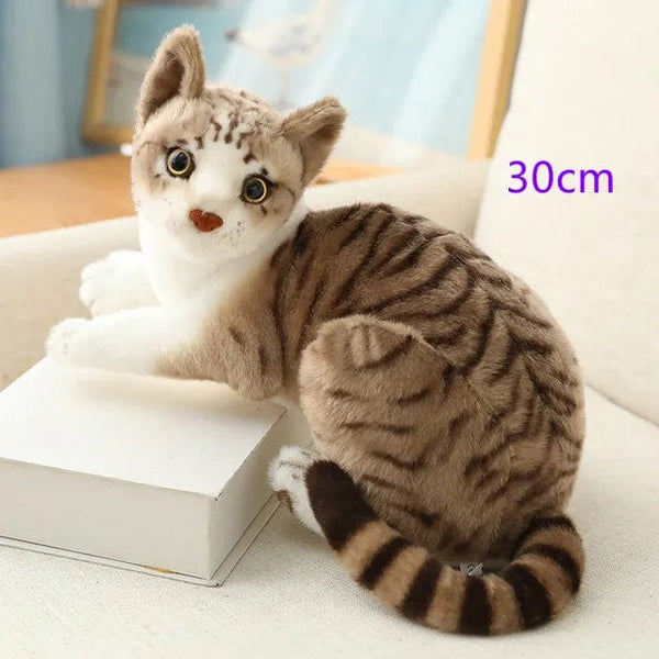 Planet Gates Stuffed Lifelike Siamese Cats Plush Toy simulation American Shorthair Cute Cat Doll Pet Toys Home Decor Gift For Girls birthday