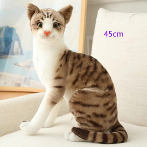 Planet Gates Stuffed Lifelike Siamese Cats Plush Toy simulation American Shorthair Cute Cat Doll Pet Toys Home Decor Gift For Girls birthday