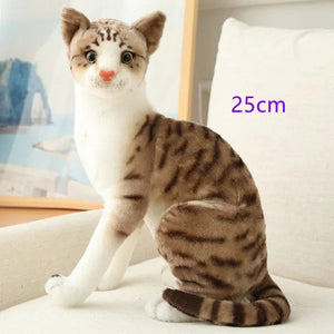 Planet Gates Stuffed Lifelike Siamese Cats Plush Toy simulation American Shorthair Cute Cat Doll Pet Toys Home Decor Gift For Girls birthday