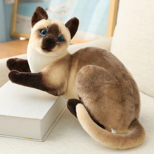 Planet Gates Stuffed Lifelike Siamese Cats Plush Toy simulation American Shorthair Cute Cat Doll Pet Toys Home Decor Gift For Girls birthday