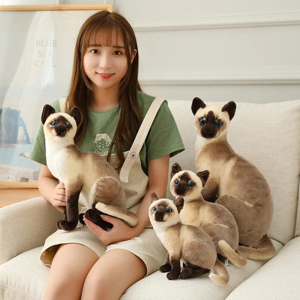 Planet Gates Stuffed Lifelike Siamese Cats Plush Toy simulation American Shorthair Cute Cat Doll Pet Toys Home Decor Gift For Girls birthday