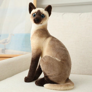 Planet Gates Stuffed Lifelike Siamese Cats Plush Toy simulation American Shorthair Cute Cat Doll Pet Toys Home Decor Gift For Girls birthday