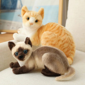 Planet Gates Stuffed Lifelike Siamese Cats Plush Toy simulation American Shorthair Cute Cat Doll Pet Toys Home Decor Gift For Girls birthday
