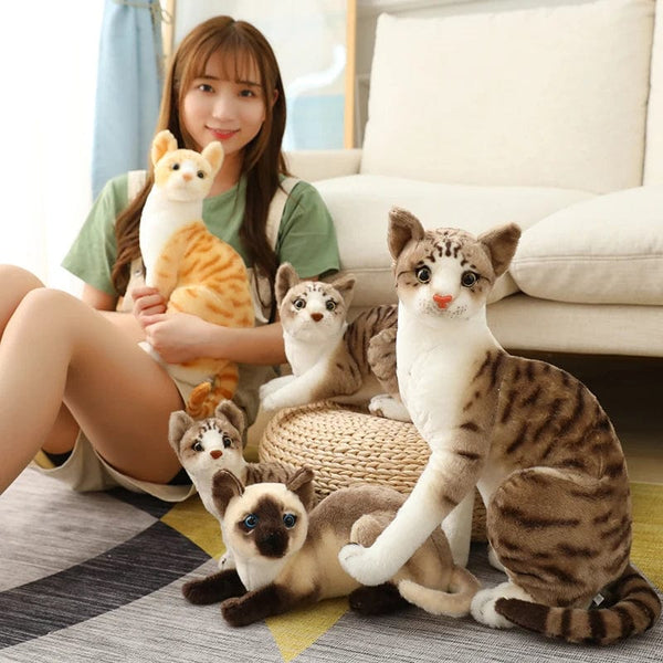 Planet Gates Stuffed Lifelike Siamese Cats Plush Toy simulation American Shorthair Cute Cat Doll Pet Toys Home Decor Gift For Girls birthday