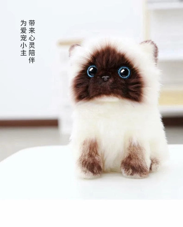 Planet Gates Stuffed Lifelike Siamese Cats Plush Toy simulation American Shorthair Cute Cat Doll Pet Toys Home Decor Gift For Girls birthday