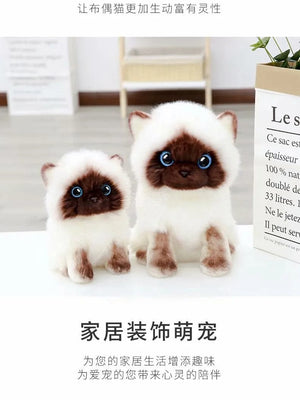 Planet Gates Stuffed Lifelike Siamese Cats Plush Toy simulation American Shorthair Cute Cat Doll Pet Toys Home Decor Gift For Girls birthday