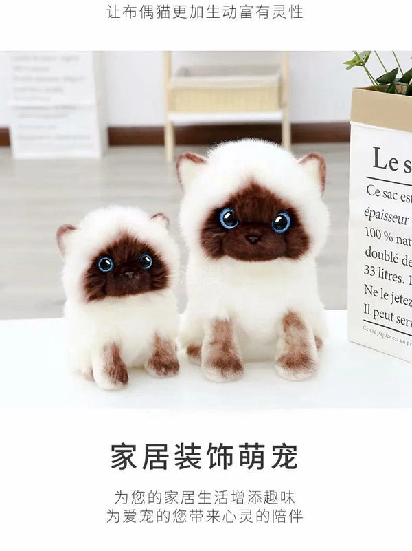 Planet Gates Stuffed Lifelike Siamese Cats Plush Toy simulation American Shorthair Cute Cat Doll Pet Toys Home Decor Gift For Girls birthday