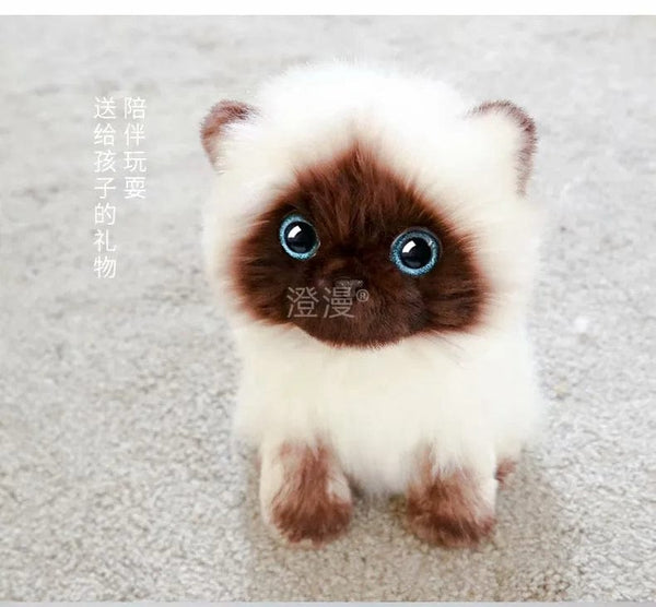 Planet Gates Stuffed Lifelike Siamese Cats Plush Toy simulation American Shorthair Cute Cat Doll Pet Toys Home Decor Gift For Girls birthday