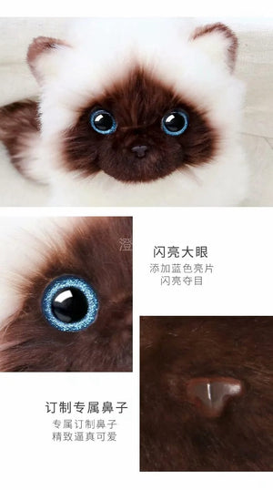 Planet Gates Stuffed Lifelike Siamese Cats Plush Toy simulation American Shorthair Cute Cat Doll Pet Toys Home Decor Gift For Girls birthday