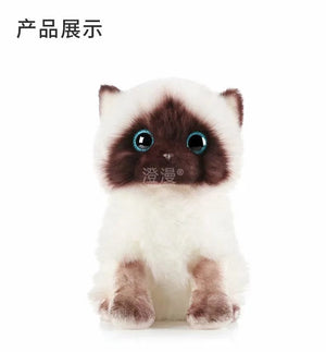 Planet Gates Stuffed Lifelike Siamese Cats Plush Toy simulation American Shorthair Cute Cat Doll Pet Toys Home Decor Gift For Girls birthday