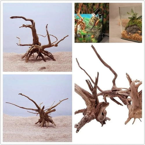 Planet Gates style random / 15-20CM Natural Tree Trunk Driftwood Aquarium Fish Tank Reptile Cylinder Roots Plant Wood Decoration Ornament Accessory Aquarium Plants