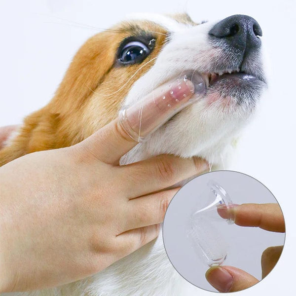 Planet Gates Super Soft Pet Finger Toothbrush Teddy Dog Brush Bad Breath Tartar Teeth Care Tool Dog Cat Cleaning Silicagel Pet Supplies