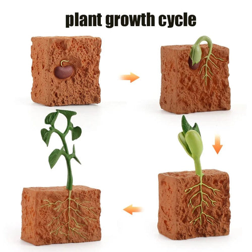 Planet Gates T-4pcs Animal Life Cycle Board Children Toys Montessori Teaching Aids Plant Animal Growth Cycle Model Set preschool cognitive Toys