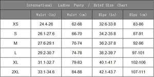 Planet Gates Teenager Menstrual Panties 4-Layer Leakproof Hollow Sexy Lace Fast Absorption Women Underwear Heavy Flow Girls Period Briefs