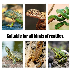 Planet Gates Terrarium Reptiles lizard Heat Mat Climbing Pet Heating Warm Pads Intelligent Adjustable Temperature Controller Mats 110v/220v
