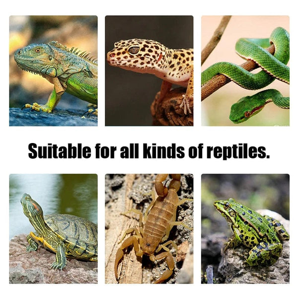 Planet Gates Terrarium Reptiles lizard Heat Mat Climbing Pet Heating Warm Pads Intelligent Adjustable Temperature Controller Mats 110v/220v