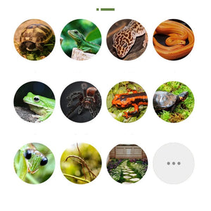 Planet Gates Thicken Double Layer Reptile Pets Moss Carpet Cushion Material Frog Tortoise Snake Lizard Mats Moisturizing Fake Lawn