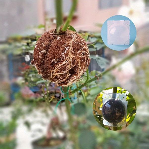 Planet Gates Transparent / 10pcs 10pcs Plant High-pressure Propagation Box Cutting Grafting Rooting Box Tree High-altitude Pressure Branch Rooting Propagation Ball Propagator