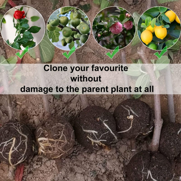 Planet Gates Transparent / 10pcs 10pcs Plant High-pressure Propagation Box Cutting Grafting Rooting Box Tree High-altitude Pressure Branch Rooting Propagation Ball Propagator