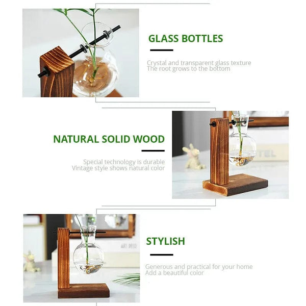 Planet Gates Transparent Bulb Vase with Wooden Stand Desktop Glass Planter for Hydroponics Plants Coffee Shop Room Decor