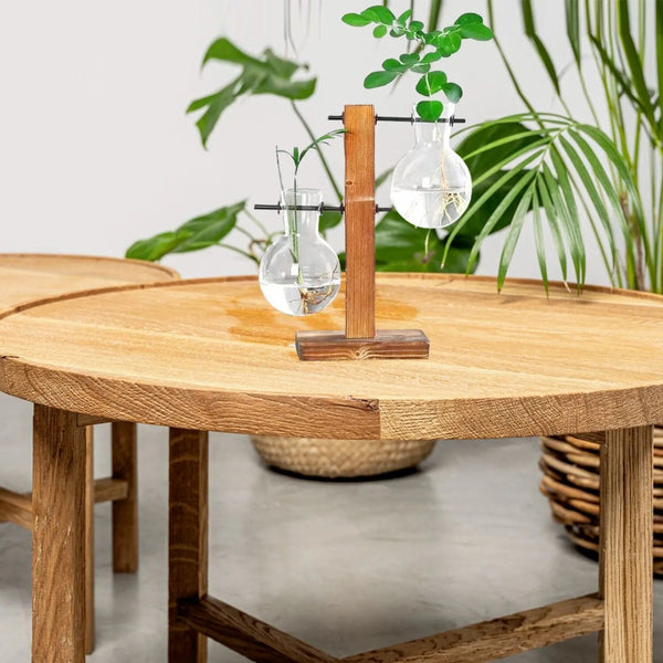 Planet Gates Transparent Bulb Vase with Wooden Stand Desktop Glass Planter for Hydroponics Plants Coffee Shop Room Decor