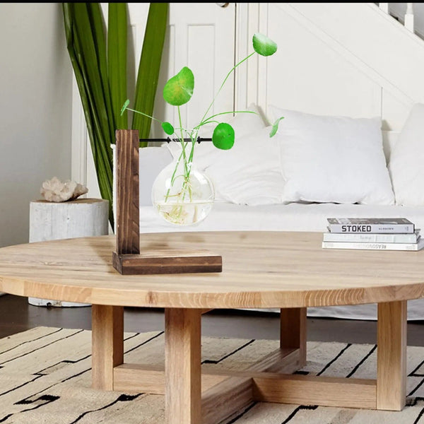 Planet Gates Transparent Bulb Vase with Wooden Stand Desktop Glass Planter for Hydroponics Plants Coffee Shop Room Decor