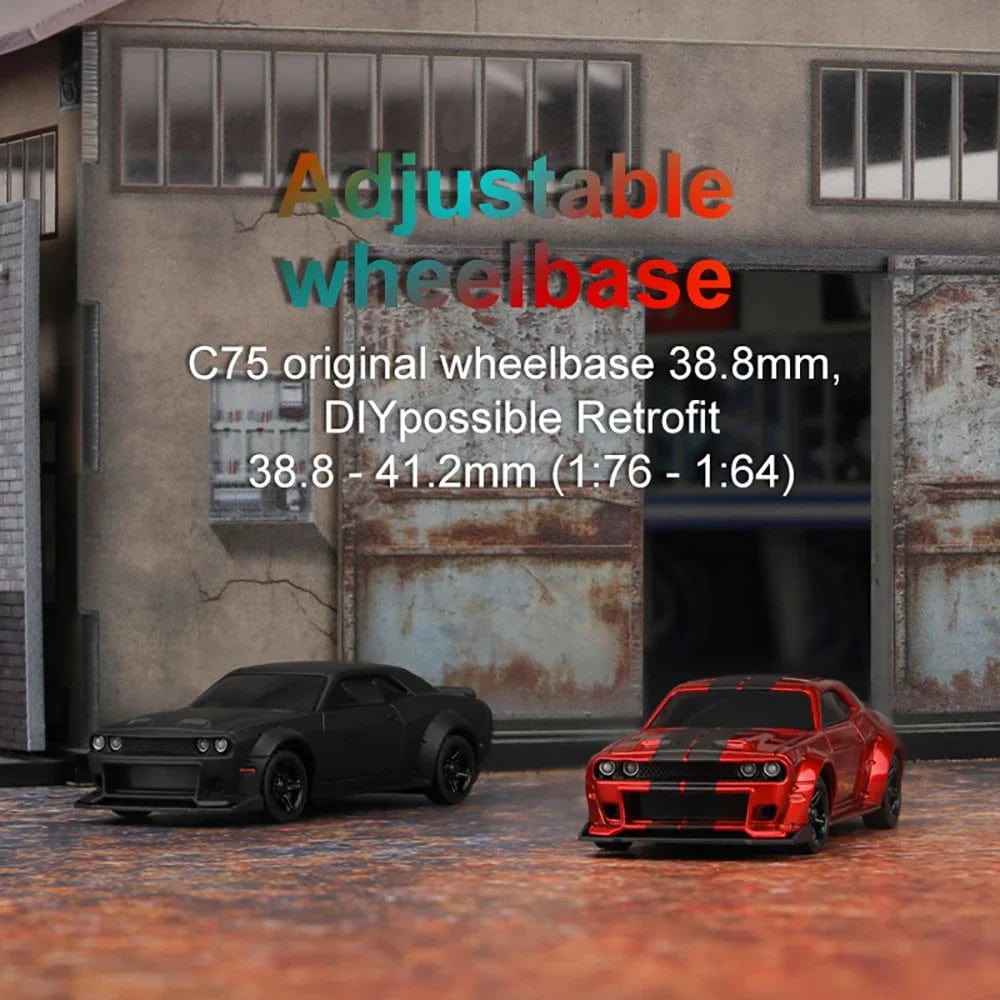 Planet Gates Turbo Racing 1:76 C71 C72 C73 C74 C75 RTR Flat Running Toys on Road RC Car Proportional Remote Control Toys for Kids and Adults