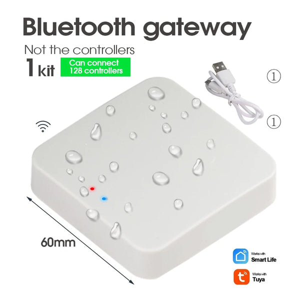 Planet Gates Tuya Zigbee Bluetooth Wifi Soil Temperature Humidity Sensor Tester Garden Detector for Indoor Outdoor Plants Remote Controllers