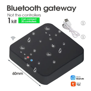 Planet Gates Tuya Zigbee Bluetooth Wifi Soil Temperature Humidity Sensor Tester Garden Detector for Indoor Outdoor Plants Remote Controllers