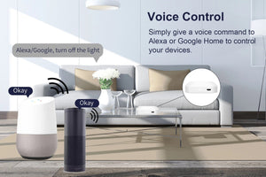 Planet Gates Tuya ZigBee Gateway Bridge, Wired/Wireless Smart Hub, Smart Life App Remote Control, Compatible with Alexa Google Home Assistant