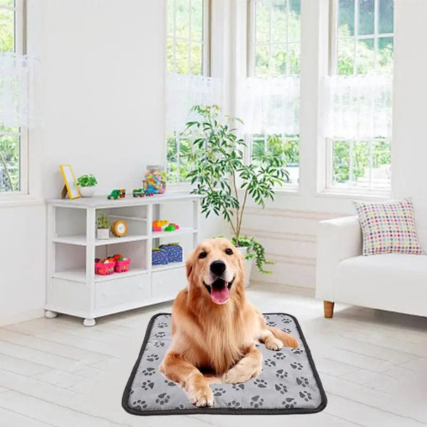 Planet Gates US plug 45x45cm / United States 3-speed Adjustable Heating Pad For Dog Cat Power-off Protection Pet Electric Heated Warm Mat Bed Waterproof Bite-resistant Wire