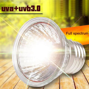 Planet Gates UVA+UVB 3.0 Reptile Lamp Set Clip-on Lamp Holder Bulb Thermometer Hygrometer Turtle Tortoises Lizard Sunlight Basking Heat Light