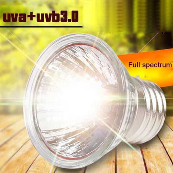Planet Gates UVA+UVB 3.0 Reptile Lamp Set Clip-on Lamp Holder Bulb Thermometer Hygrometer Turtle Tortoises Lizard Sunlight Basking Heat Light