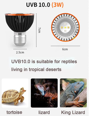 Planet Gates UVB 10.0 Professional 3W Reptile Lamp UVA UVB5.0 UVB10.0 Lmap LED Bulb Turtle Tortoise Lizard Basking Sunlight UVB Bulb Lighting