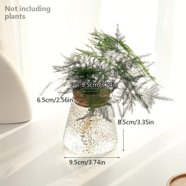 Planet Gates W-8.5cm/3.35inX9.5/3.74in 1pc, Glass Planter Propagation Station Vase Rack Tabletop Hydroponic Plants Cuttings Office Home Decoration