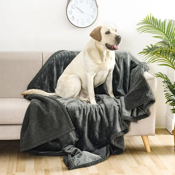 Planet Gates Waterproof Pet Blanket Liquid Pee Proof Dog Blanket for Sofa Bed Couch, Reversible Sherpa Fleece Furniture Protector Cover