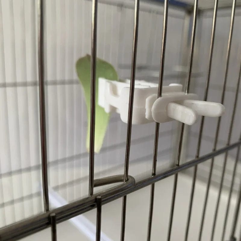 Planet Gates WHITE 1Pcs Small Pet Bird Food Holder Parrot Fruits Vegetables Clip Cuttlefish Bone Feeder Device Clamp Bird Cage Accessories Oiseaux