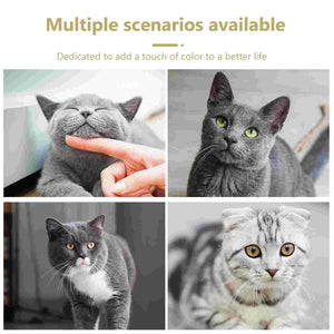 Planet Gates White / 22.5X27X5.5CM Cat Door for Interior Door Plastic Pass Portal DIY Pet Door Pet Supply