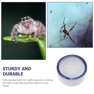 Planet Gates White / 2X2X1cm 12 Pcs Basin Small Terrarium Jumping Spider Enclosure Tarantula The Fence Millipede Ceramics Mini Water Sink Reptile Baby