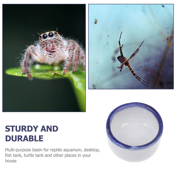 Planet Gates White / 2X2X1cm 12 Pcs Basin Small Terrarium Jumping Spider Enclosure Tarantula The Fence Millipede Ceramics Mini Water Sink Reptile Baby