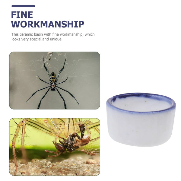 Planet Gates White / 2X2X1cm 12 Pcs Basin Small Terrarium Jumping Spider Enclosure Tarantula The Fence Millipede Ceramics Mini Water Sink Reptile Baby