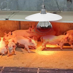 Planet Gates White / 30x20cm 250W Livestock Incubator Box Heating Lamp Little Pig Cage Pet Lizard Warmer Light Pet Warming Lamp 30x20x10cm Random Color