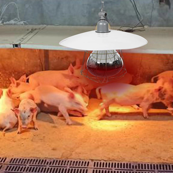 Planet Gates White / 30x20cm 250W Livestock Incubator Box Heating Lamp Little Pig Cage Pet Lizard Warmer Light Pet Warming Lamp 30x20x10cm Random Color