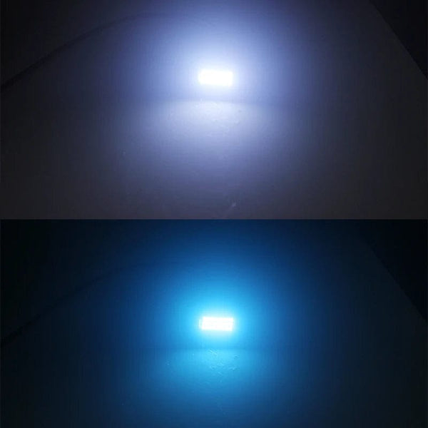 Planet Gates white / 39MM RXZ 2PCS Festoon C10W LED C5W LED Canbus 31/36/39/41MM error free Interior reading Light Clearance Bulbs Auto plate Lamp white