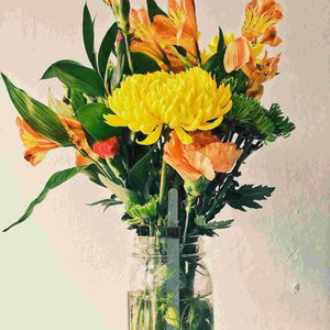 Planet Gates White 4 Pcs Water Level Reminder Water Meter Indoor Plants Water Sensor Hydroponic Planter Hygrometer Water Scale Gauge